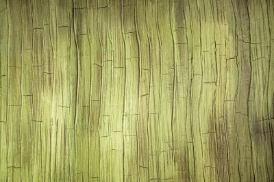 Decorative Interior Painting